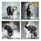 4pcs  Elephant  Wall Art Canvas Unframed/Framed