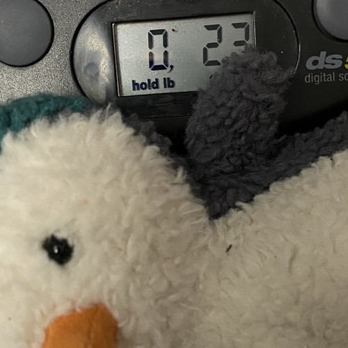 Jellycat Wee Winter Teal Penguin 6” Plush Mini Beanie Hat Collectible Cutecore - Picture 8 of 9
