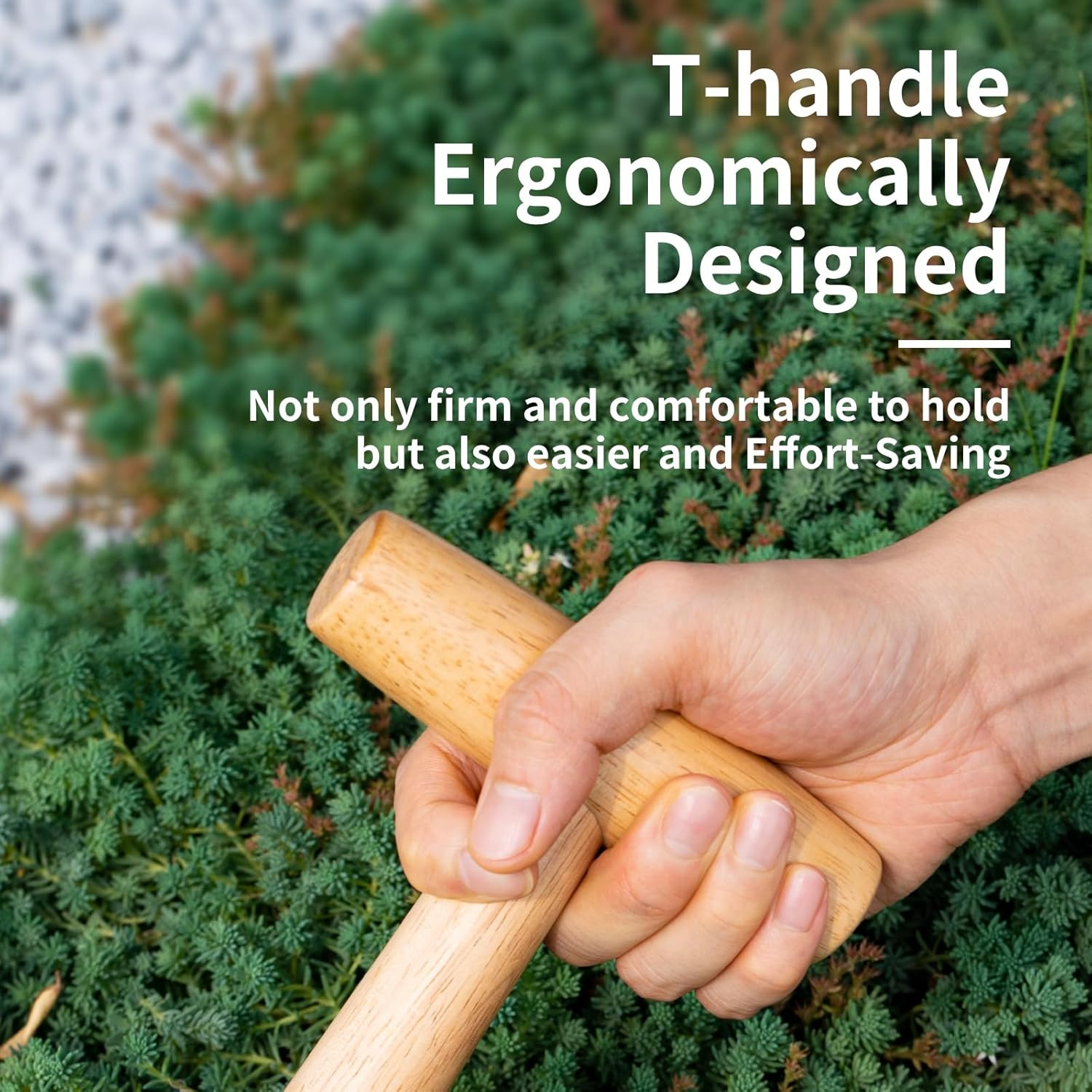 Hand Dibber Garden Tool, Seed Planter Tool with Wood Handle for Sowing Seed - 5"