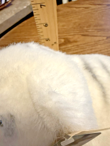 Siegfried and Roy White Bengal Tiger Cub Plush Mirage Casino Stuffed Animal - Picture 13 of 13