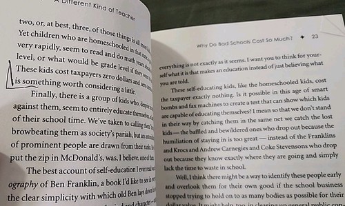 Different Kind of Teacher : Solving the Crisis of American Schooling by John... - Foto 9 di 11