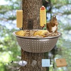 Squirrel Feeders for Outside-Squirrel Feeder with Drainage Holes, Silver 