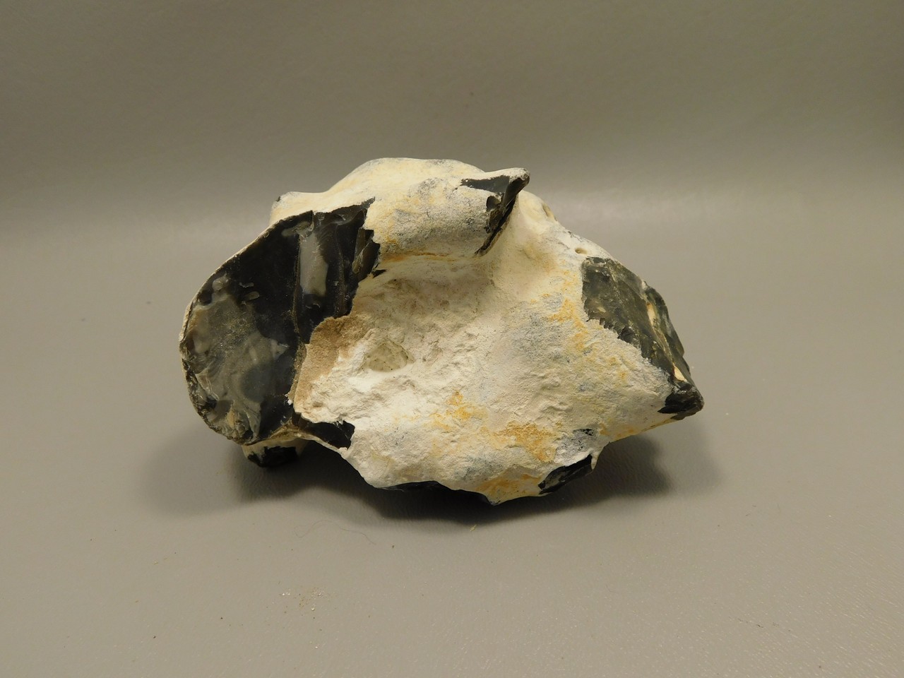 Picture 4 of 8