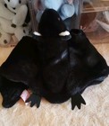 Foto 10 di 15