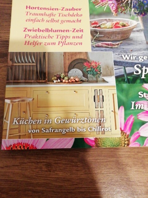 Bild 3 von 8