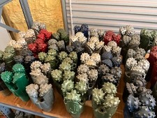 4 3/4 TCI sealed Bearing Tri-cone For Oil Gas Geothermal Waterwell