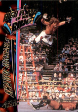 Shawn Michaels 1995 Action Packed WWF High Flyers Of The Ring Card #38 WWE
