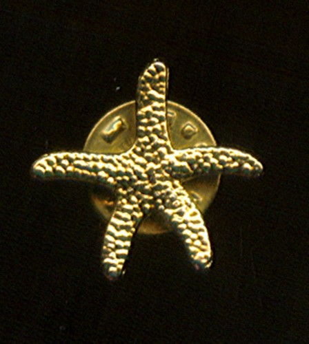 GOLDEN STARFISH LAPEL PIN (M521) Neat Pin - Picture 2 of 2