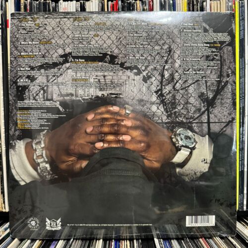 CAPONE - PAIN, TIME, & GLORY (VINYL 2LP) 2005 RARE!! CNN / FASTLIFE FSL-LP-49 - Imagen 2 de 2