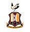 bradfordcityafc