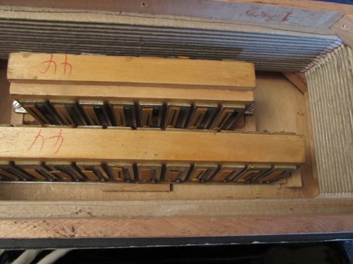 Accordéon perroquet,24 basses,14