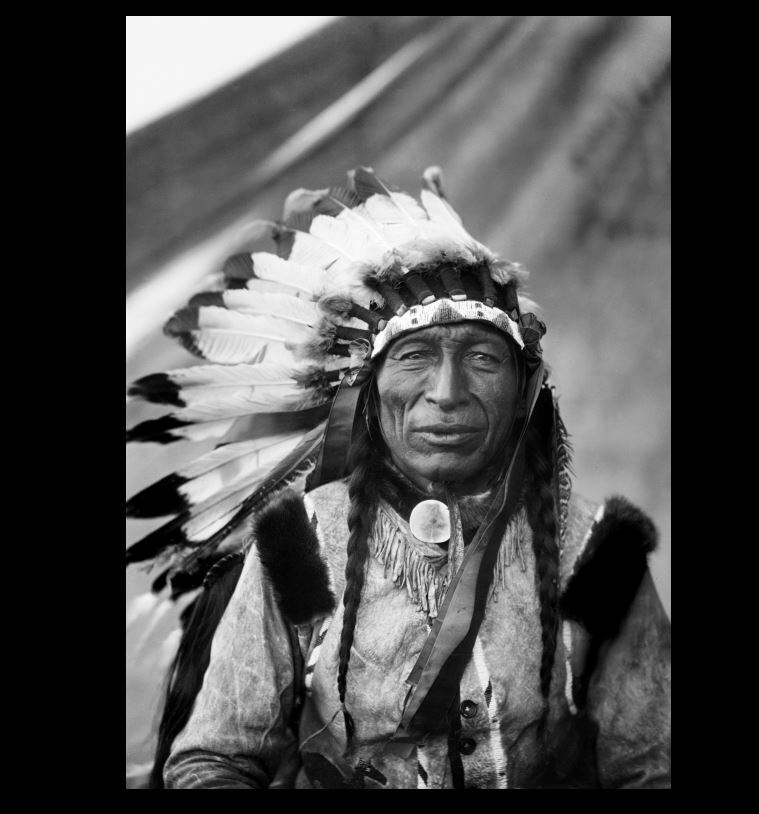 1905 Chief Iron Tail PHOTO Buffalo Nickel, Buffalo Bill Wild West Show ...