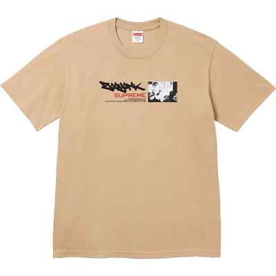 【Supreme x Zoo York】Dynasty T-Shirt★Khaki★25SS★ Supreme SS25 Zoo York Dynasty Graphic Logo Tee Khaki Brown
