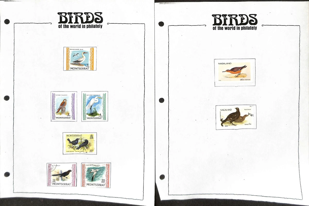 New Zealand Bird Postal Stamps for sale | eBay