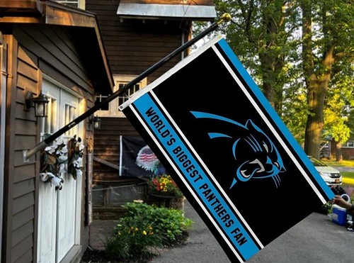 Carolina Panthers 3x5 Feet Flag Banner, World's Biggest Fan, Metal Grommets,... - Picture 2 of 8