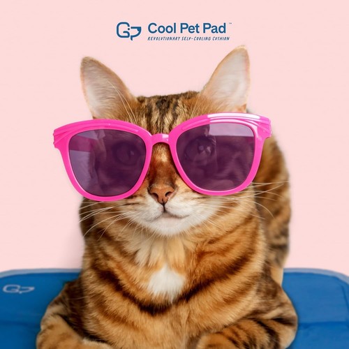 Cool Pet Pad - Alfombra grande gris salvia para perros y gatos (46-80 libras) - Autoenfriamiento - Imagen 9 de 9