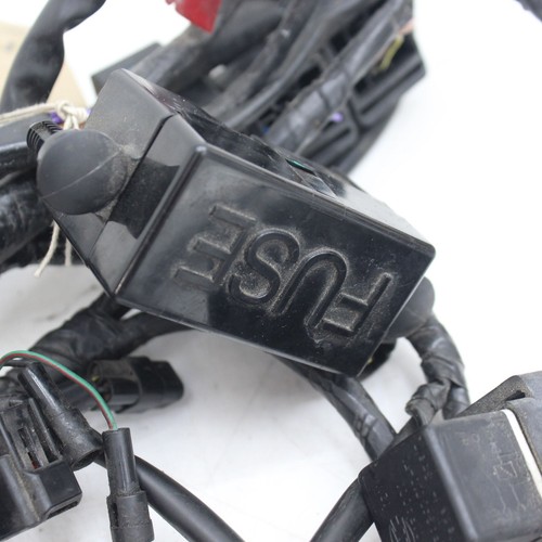 2010 TRIUMPH 1050 SPEED TRIPLE Main Harness - T2501021 - Picture 8 of 12
