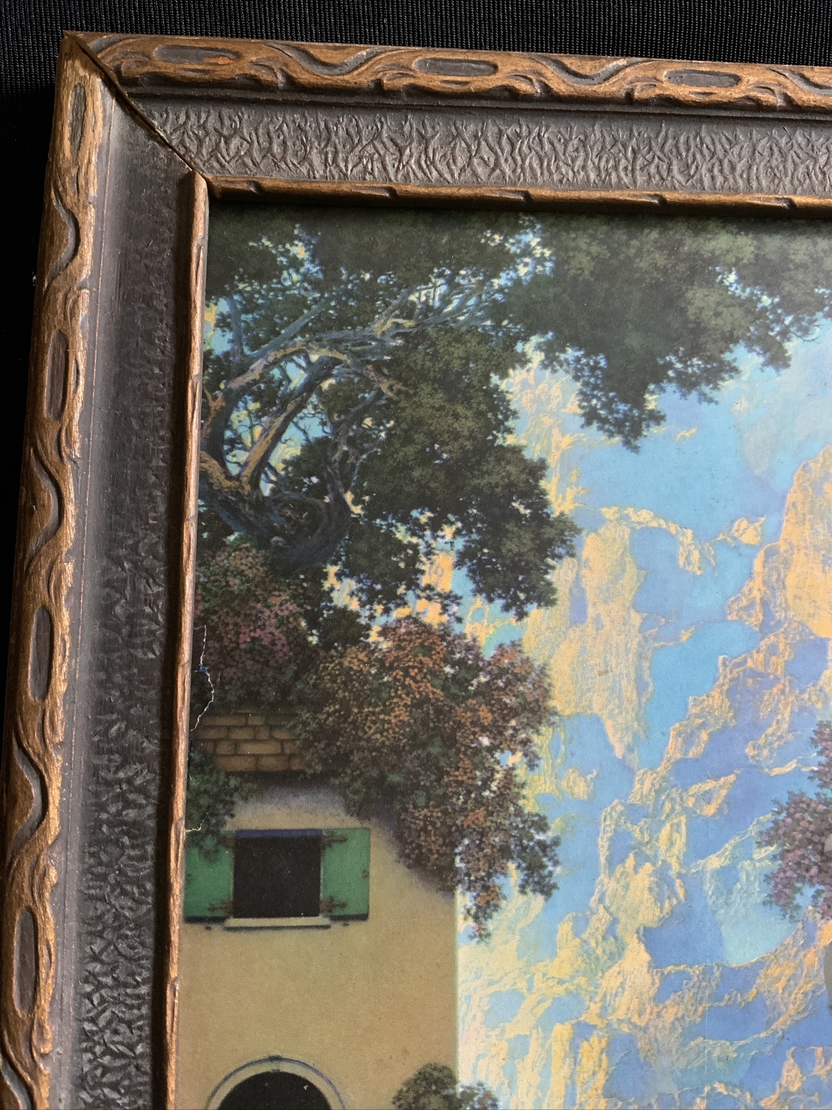 Picture 6 of 19
