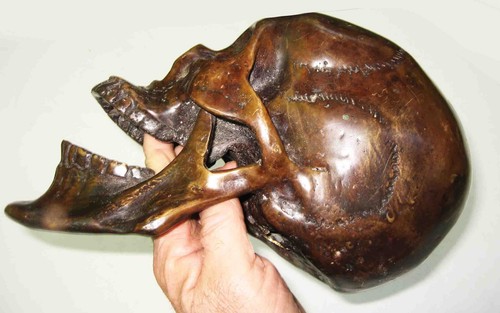 19th-20th CENT Full Size BRONZE Neanderthal Man ANATOMICAL SKULL / Academic Use - Picture 8 of 23