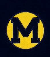 Michigan Wolverines Football Heritage Banner featuring logos through the years - Picture 3 of 7