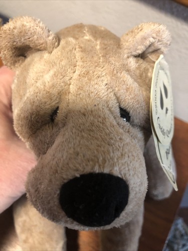 Cuddly Quarry Critters Buddy Bear Plush Stuffed Animal Second Nature Design Tags - Picture 11 of 11