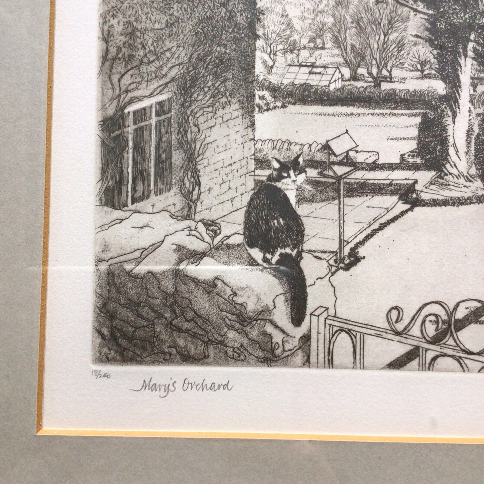 Picture 10 of 16