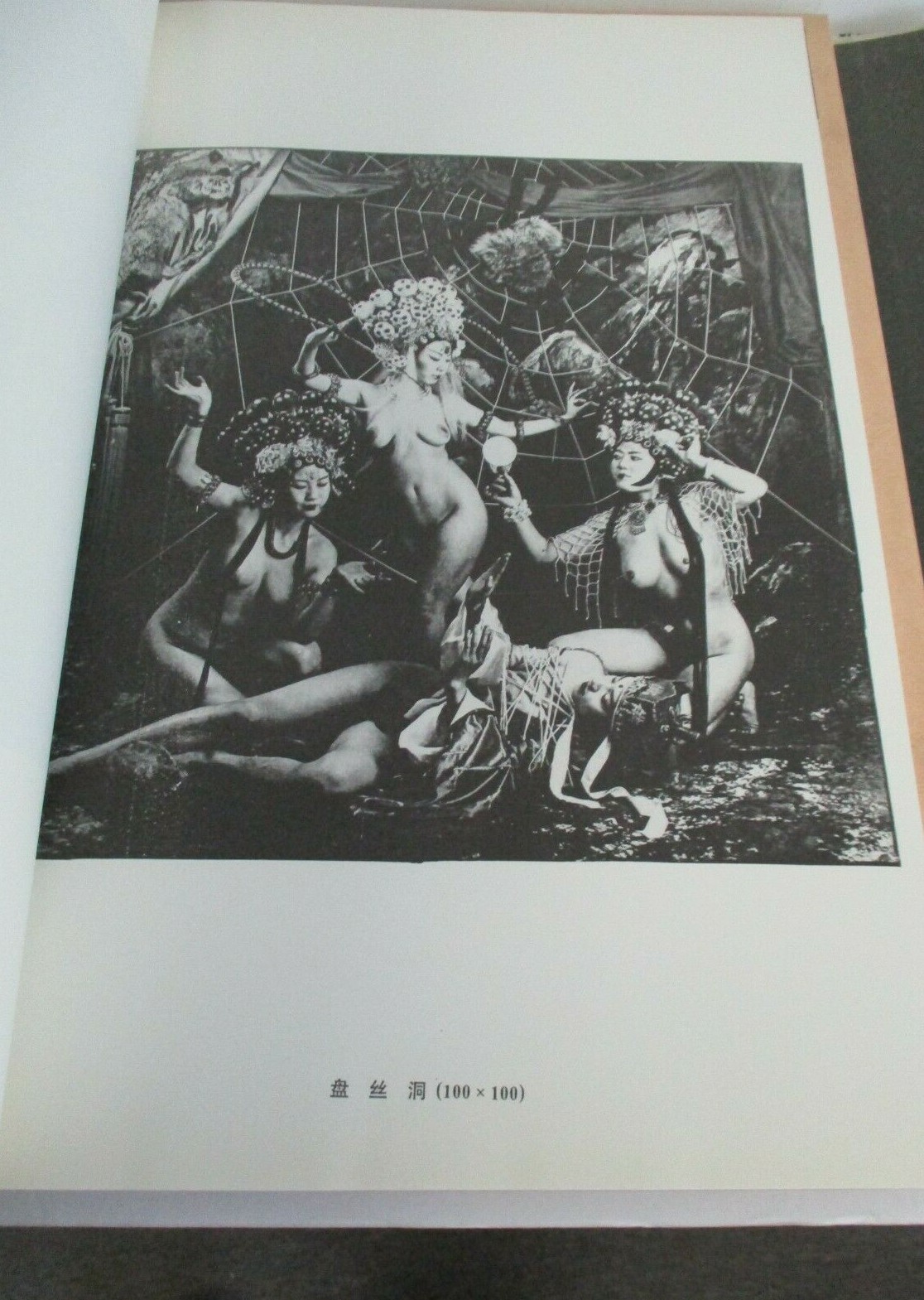 Picture 7 of 12