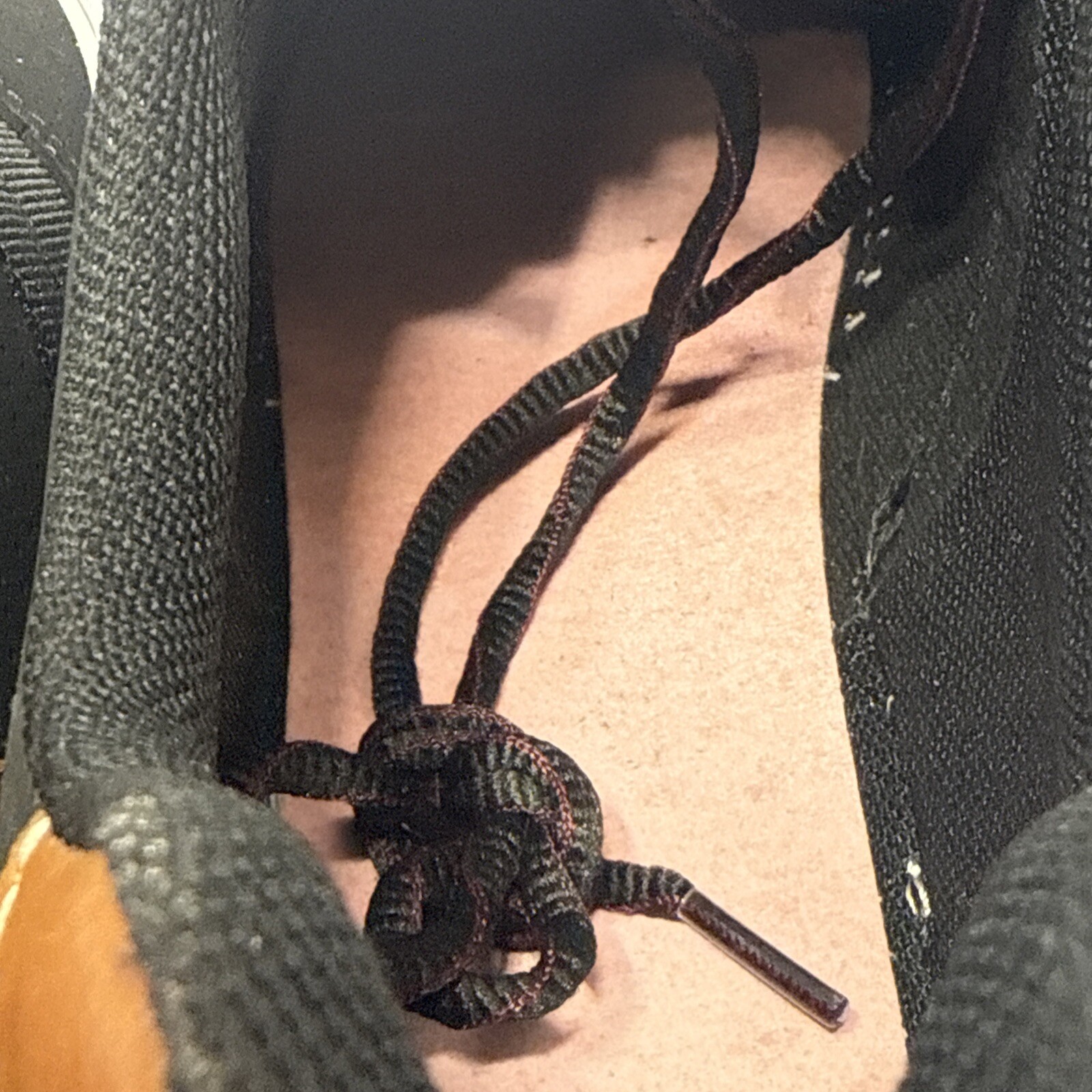 Picture 5 of 15