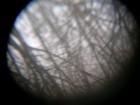 Bild 8 von 12