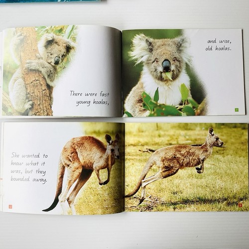 A Steve Parish Kids Story Book X 10 Australian Native Birds & Animals Koala Joey - Picture 12 of 15