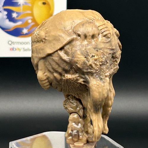 HALO Mega Bloks FLOOD Carrier Form (bronceado oscuro) FIGURA 97430 CYY58 Invasión de inundación - Imagen 7 de 10