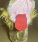 Bild 5 von 8