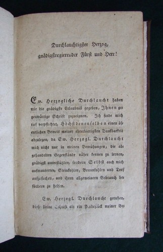 Steinkohlen, der Braunkohlen und des Torfes, Voigt, 1802 1st Coal, Lignite, Peat - Foto 4 di 8