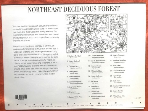 US stamps #3899 Northeast Deciduous Forest - Sheet of 10 MNH 37 cent 2005 - Picture 2 of 2
