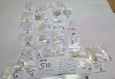 Vtg Mother Of Pearl Jewelry Making Dangle Drop Charms Carved & 1 #510