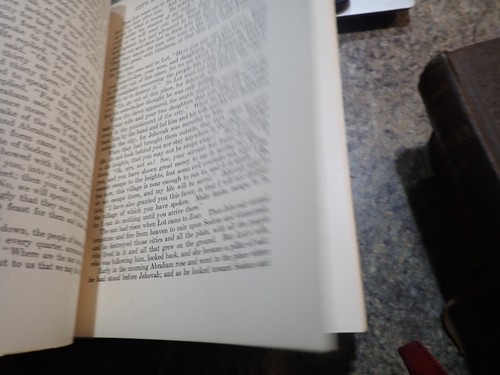 The Children's Bible by Henry A. Sherman - Scribner's Sons 1925 - hardcover - Picture 10 of 11
