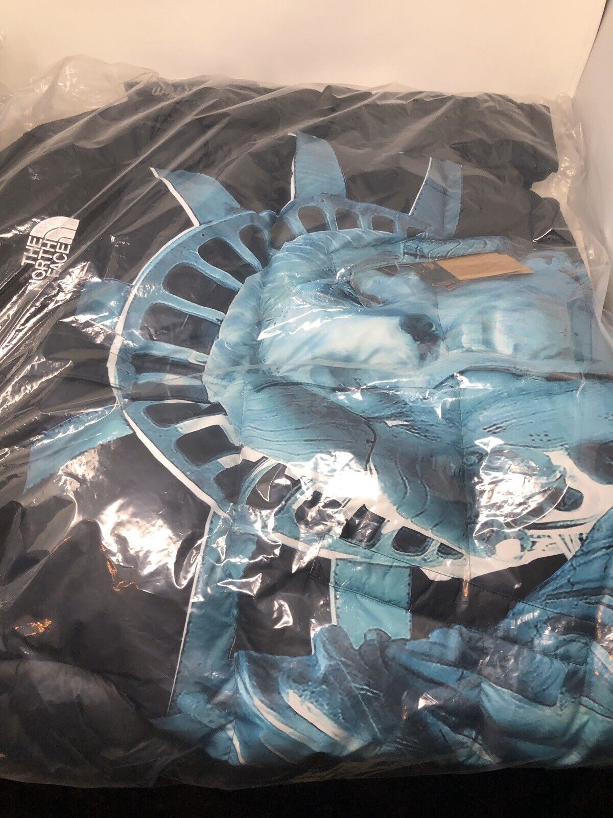 Supreme The North Face TNF Statue of Liberty Baltoro Jacket Black