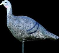 Flambeau Decoys Sf00856 X6 3 Position Hen Turkey Decoy on sale Flambeau Decoys Sf00856 X6 3 Position Hen Turkey Decoy on sale