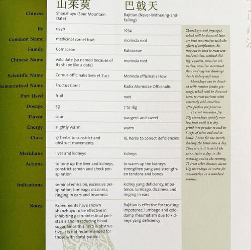 Chinese Natural Cures Alternative Medicine 2005 PB Medical Reference BKBX5 - Picture 6 of 8