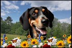 Black and Tan Coonhound Summer Flowers Door Mat