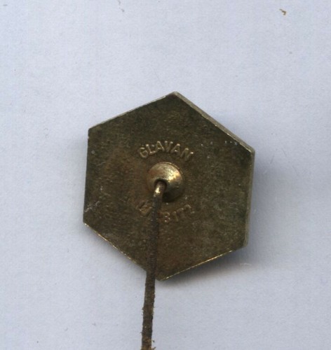 pin BEEKEEPING bees honey Apimondia MEDEX - Picture 2 of 2