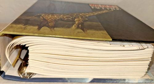 Wildlife Fact File - Picture 4 of 16