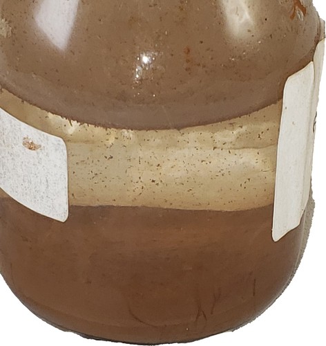 GeneNano Silica Brown Magnetic beads about 300 nm for DNA/RNA extraction - Picture 4 of 5