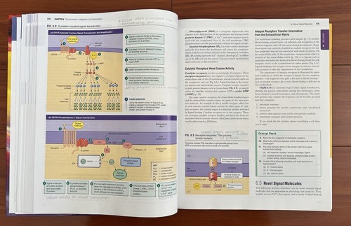 Human Physiology: An Integrated Approach, 8th Edition, Hardcover - Picture 6 of 10