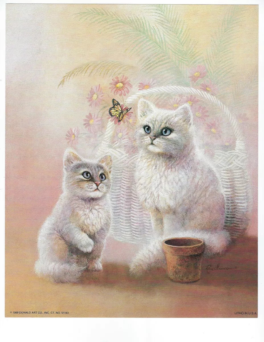 Animal Picture Posters Cats, Cat Butterfly Wall Poster
