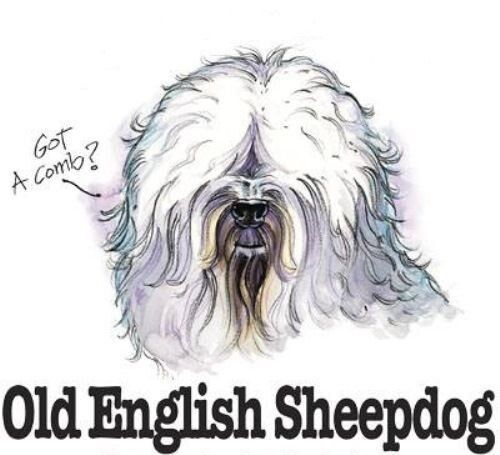 Old English Sheepdog Fun Hundesasse Cartoon kurz-/Langarm weißes T-Shirt - Bild 2 von 3