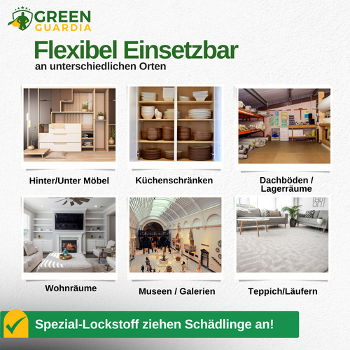 3 to 15x Trap - Carpet Beetle Trap, Effectively Fight Carpet Beetle, Chemical Free - Picture 29 of 48