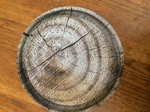 DOSE DIE AUSSIEHT WIE BAUMRINDE - Bild 3 von 4