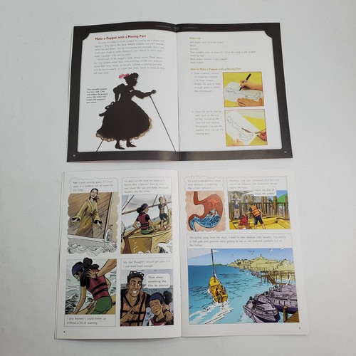 Lot of 24 Fountas & Pinnell LLI Gold System Level R Leveled Literacy Readers - Picture 5 of 12