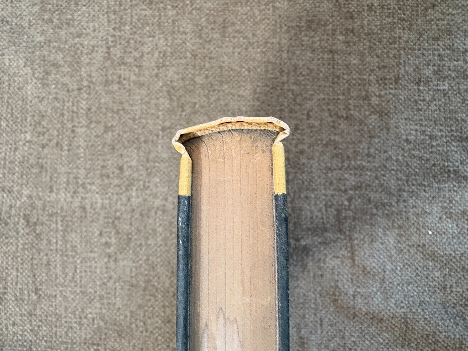 Photo 8/24